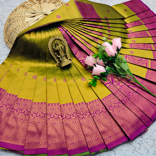 YCA02-13 Fancy Silk Saree