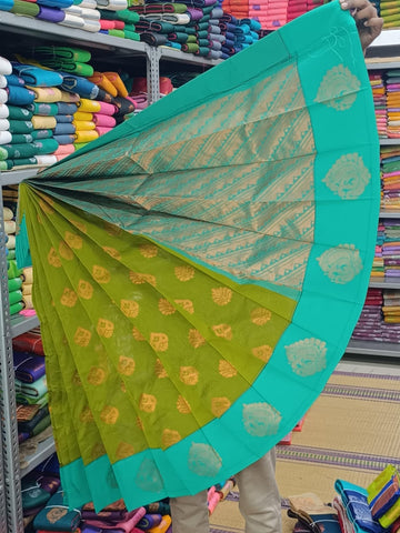 YCA01-10 Cotton Saree